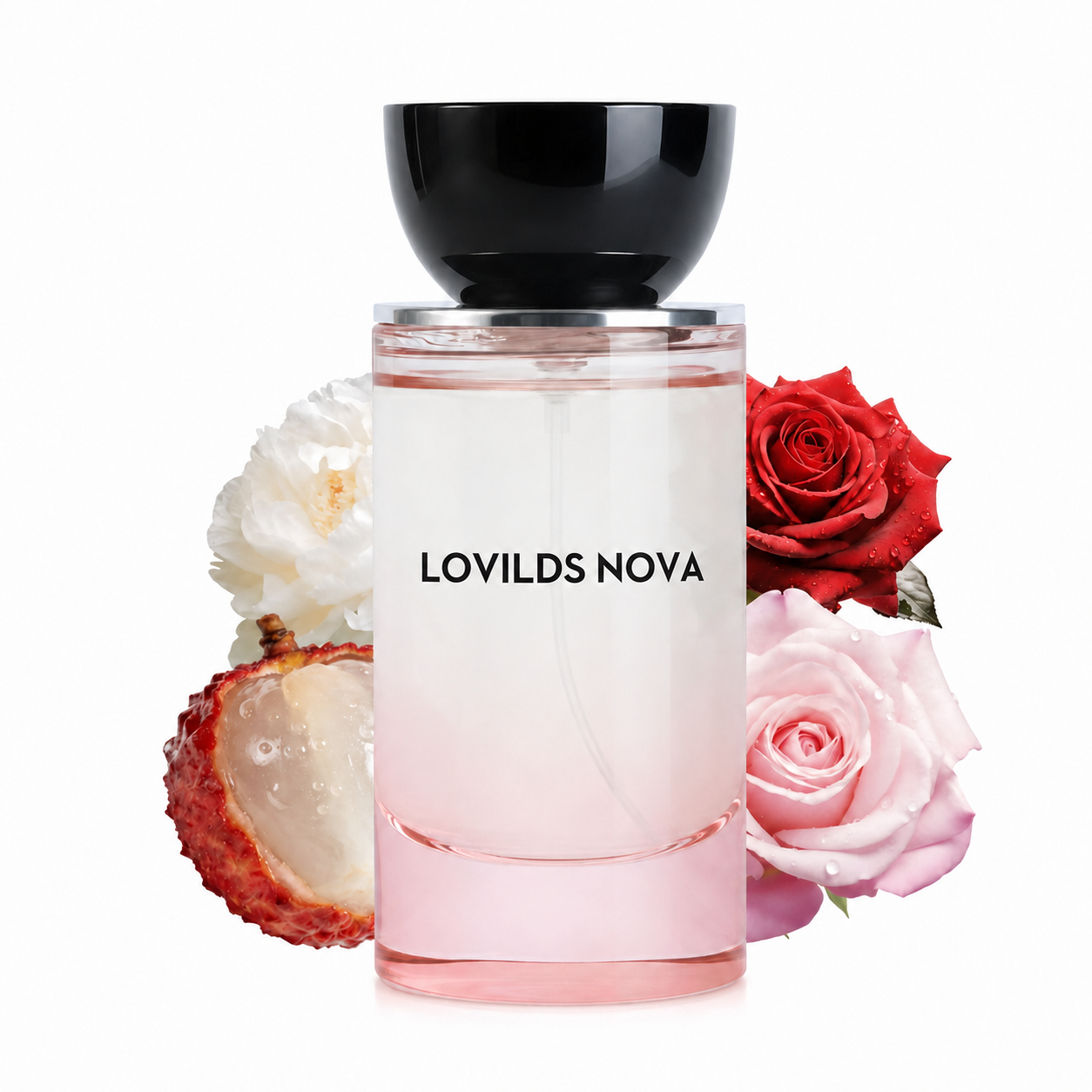 🔥Last Day 49% OFF🌹LOVILDS  Nova | Rosey Fruity Floral | Extrait De Parfum | Long Lasting Luxury Fragrance