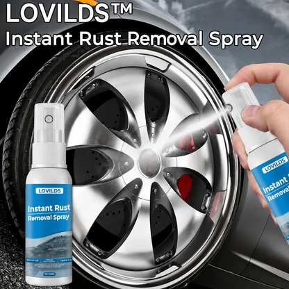 ✨2026 New Formula: LOVILDS™ Instant Rust Removal Spray