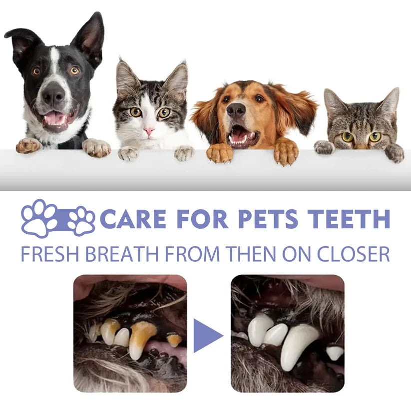 LOVILDS™ 🍃NO BRUSHING oral care spray for dogs cats
