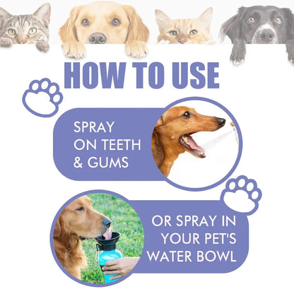 LOVILDS™ 🍃NO BRUSHING oral care spray for dogs cats