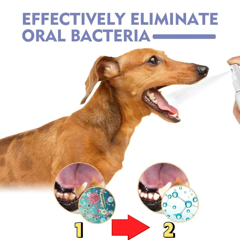 LOVILDS™ 🍃NO BRUSHING oral care spray for dogs cats