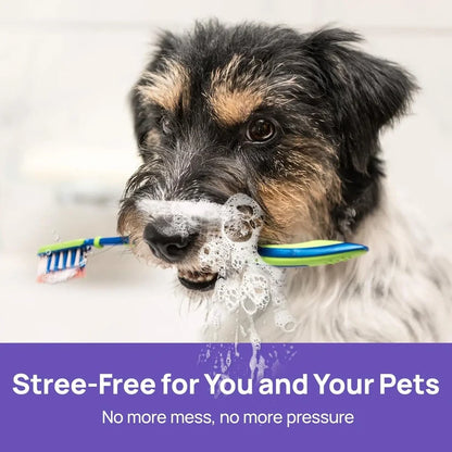 LOVILDS™ 🍃NO BRUSHING oral care spray for dogs cats